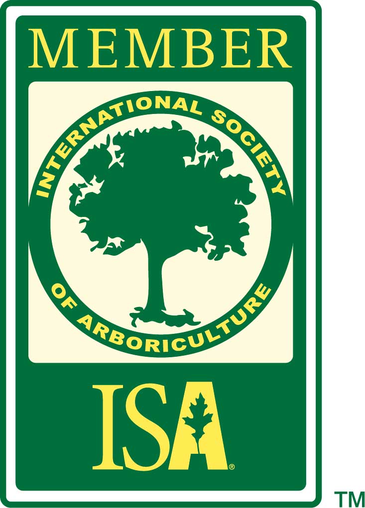 isa member