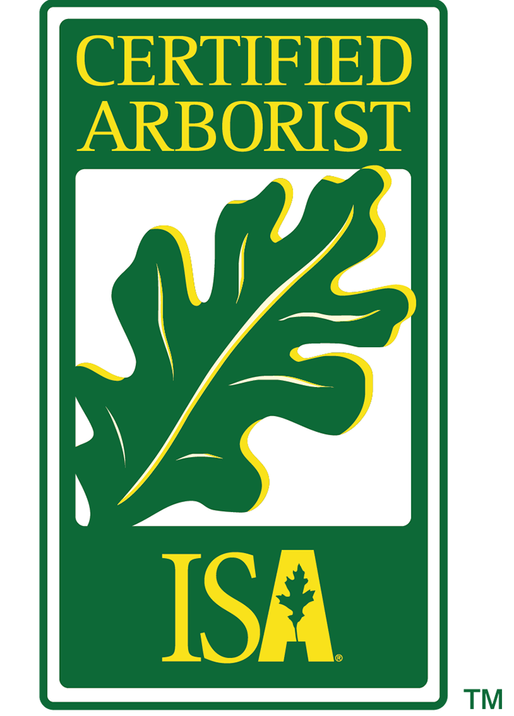 certified arborist