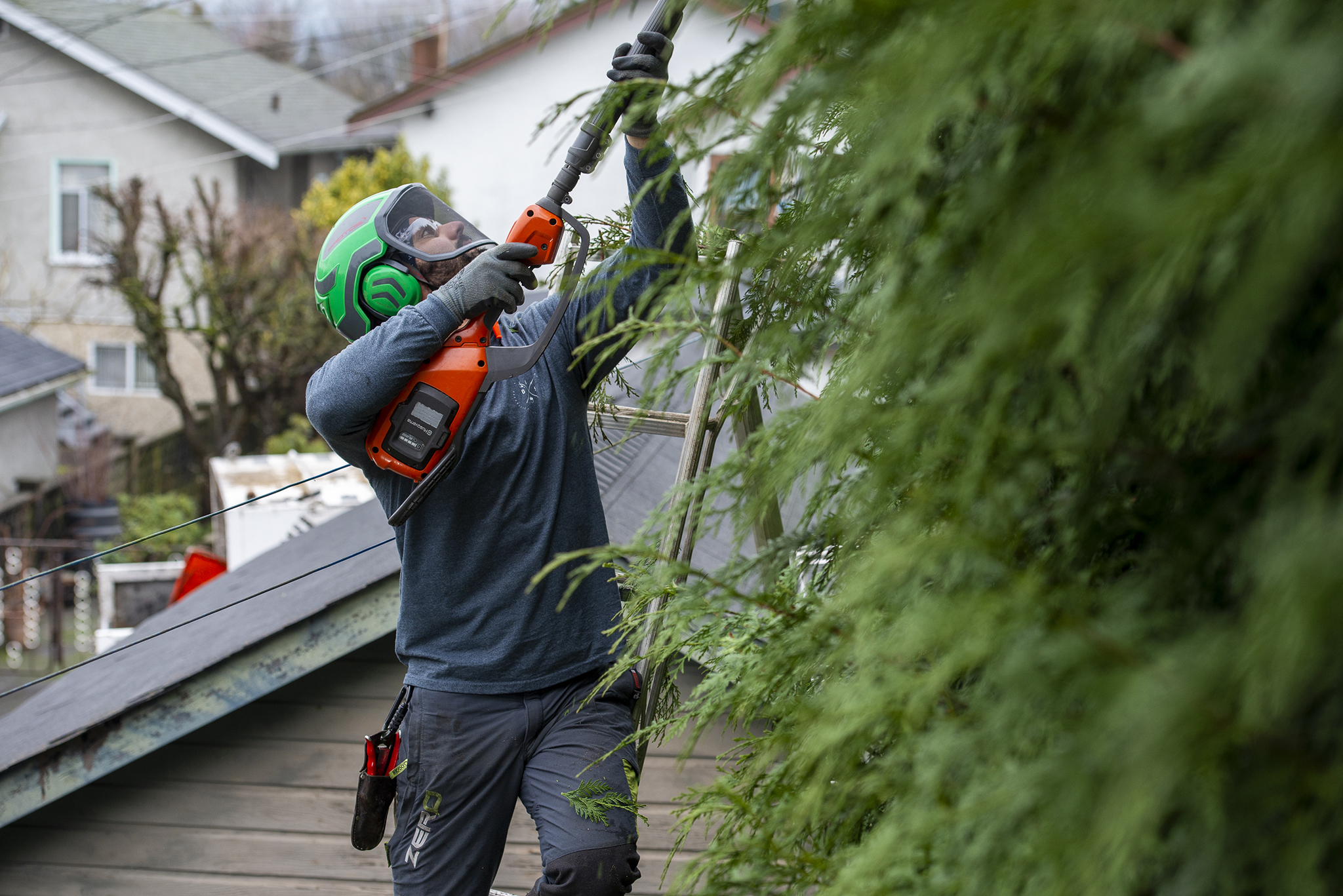 tree trimming vancouver