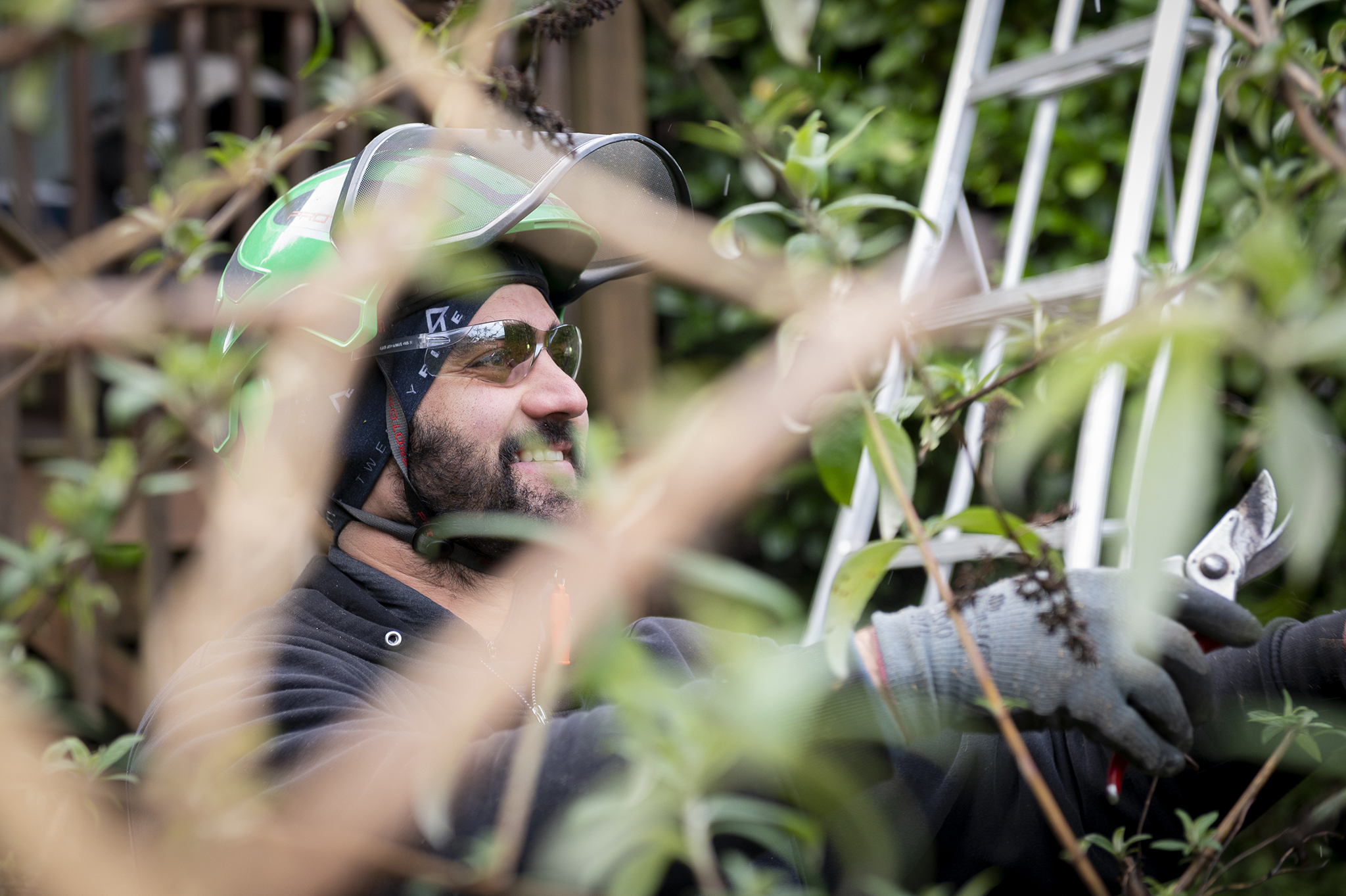 Vancouver Tree Pruning Vancouver Tree Pruning