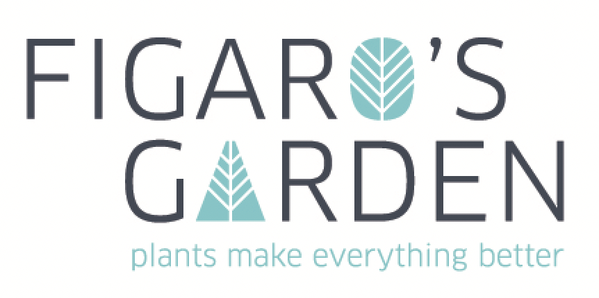 figarosgarden logo