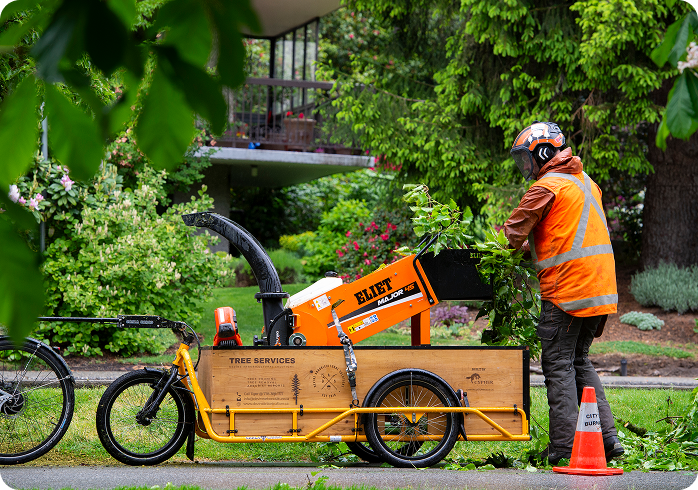 tree services 03