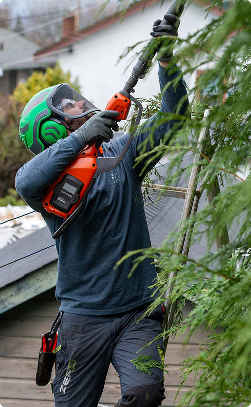 tree trimming vancouver