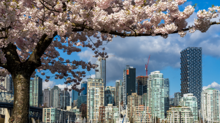 when does vancouver require an arborist report TN